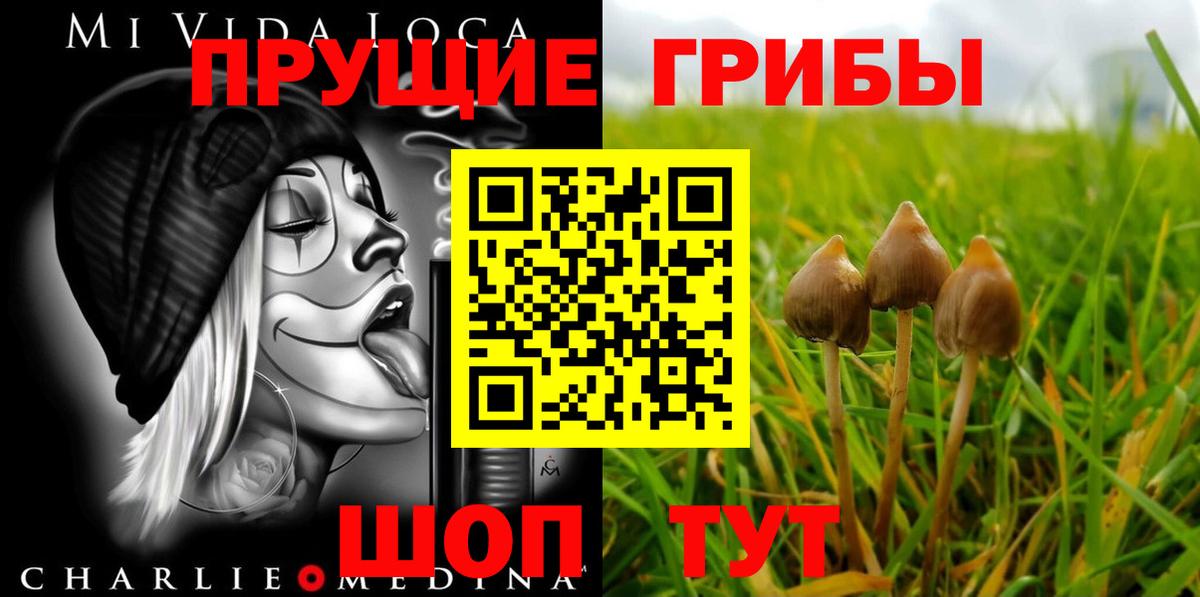 Галлюциногенные грибы ЛСД Бутурлиновка