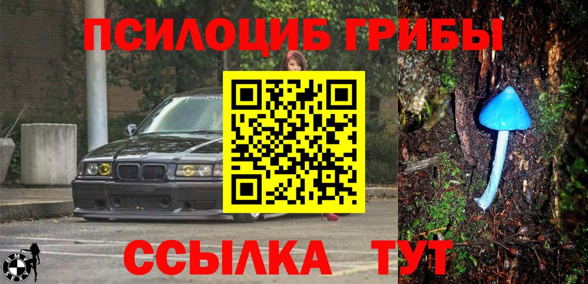 Псилоцибиновые грибы MAGIC MUSHROOMS  Вход с VPN  Бутурлиновка 